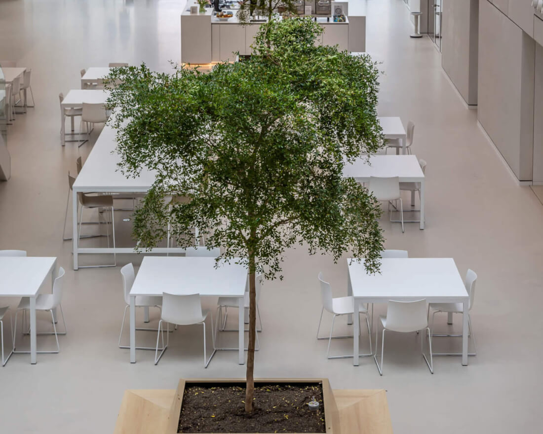 plantenbak met zitelement op maat